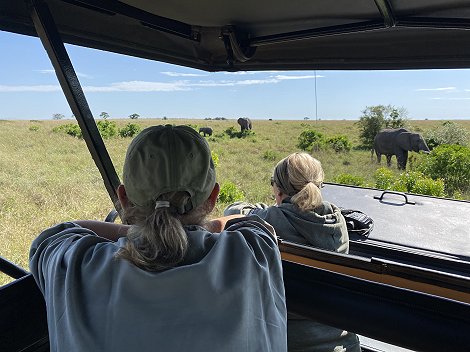 Elefanten in der Masai Mara