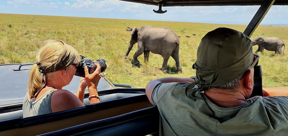 zwischen den Elefanten der Masai Mara