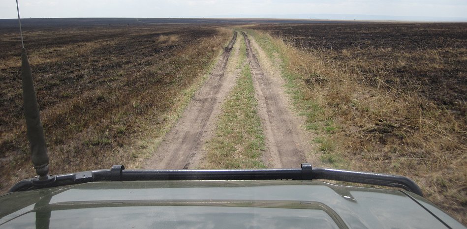 Spuren der Buschfeuer in der Masai Mara September 2022