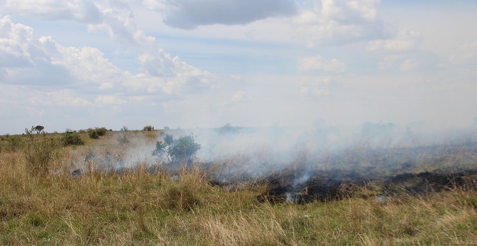 Buschfeuer in der Masai Mara