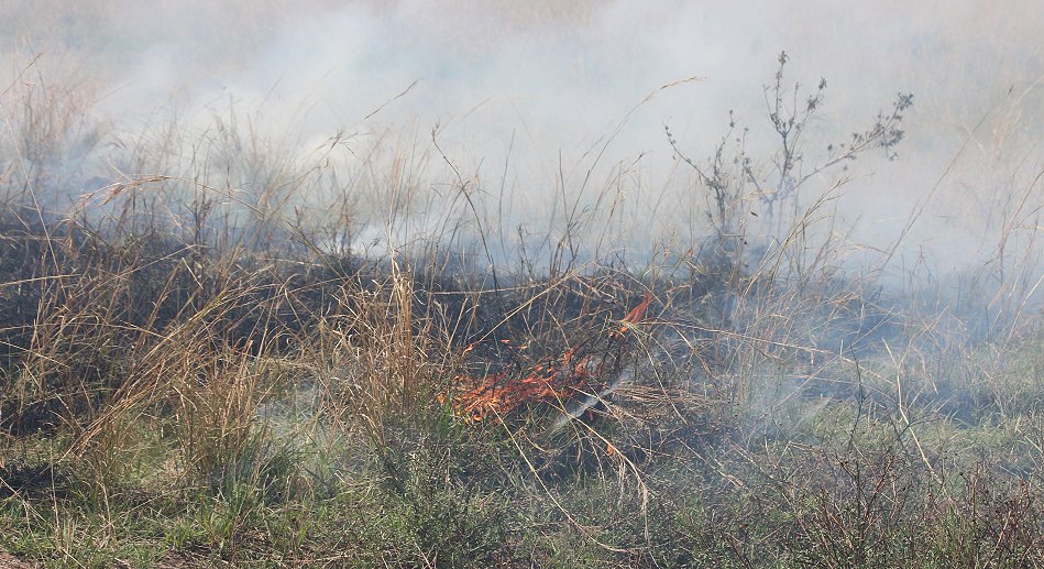 Buschfeuer in der Masai Mara
