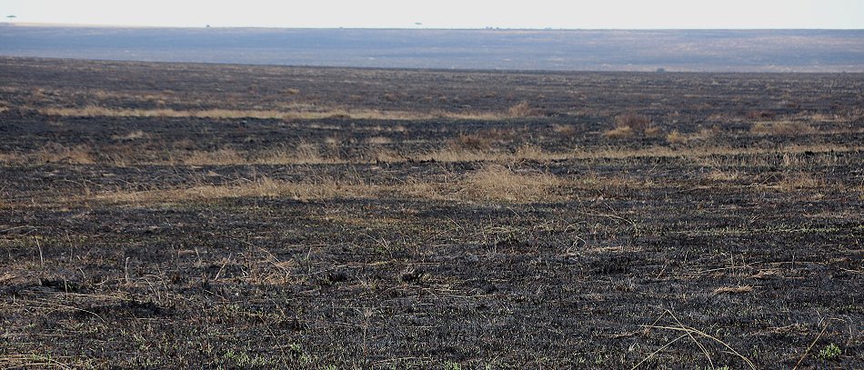 Spuren der Buschfeuer in der Masai Mara September 2022