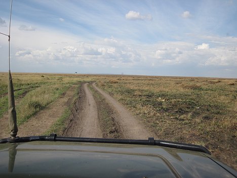 Buschfeuer in der Masai Mara