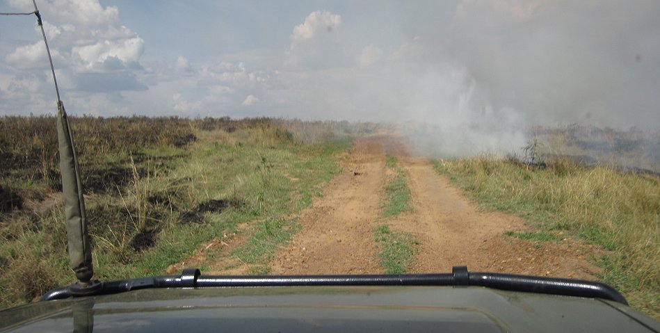 Buschfeuer in der Masai Mara