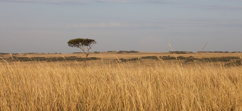 Topi PLains and Rhino Ridge