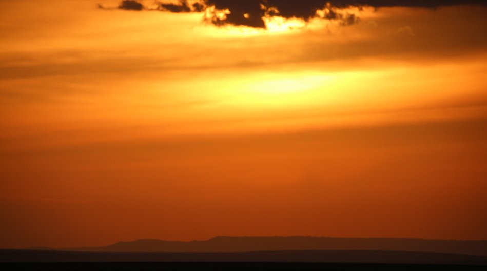 Sundowner in der Masai Mara