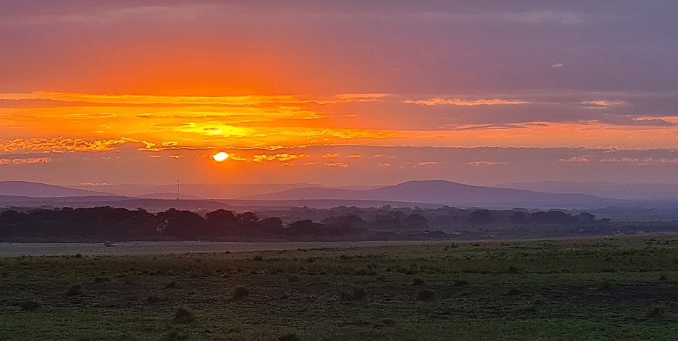Sonnenaufgang in der Masai Mara