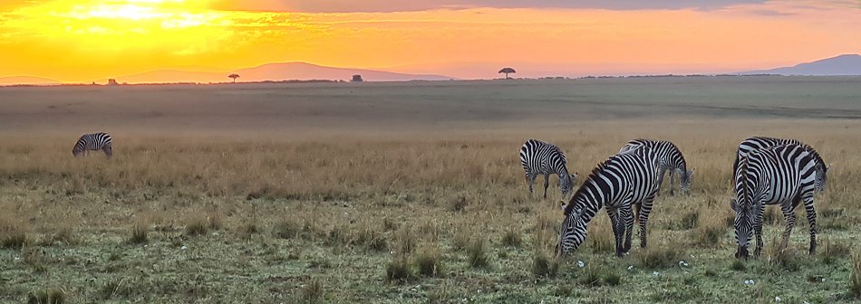 Sonnenaufgang in der Masai Mara