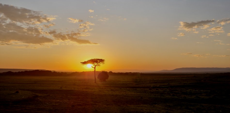 Sonnenaufgang in der Masai Mara