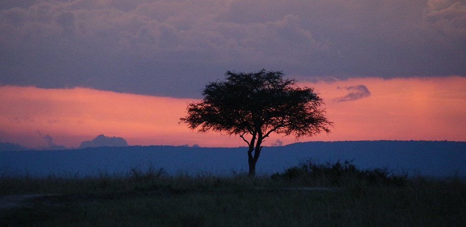 Sonnenuntergang in der Masai Mara