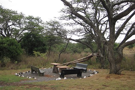 Kingfisher Picnic Side im Nairobi National Park