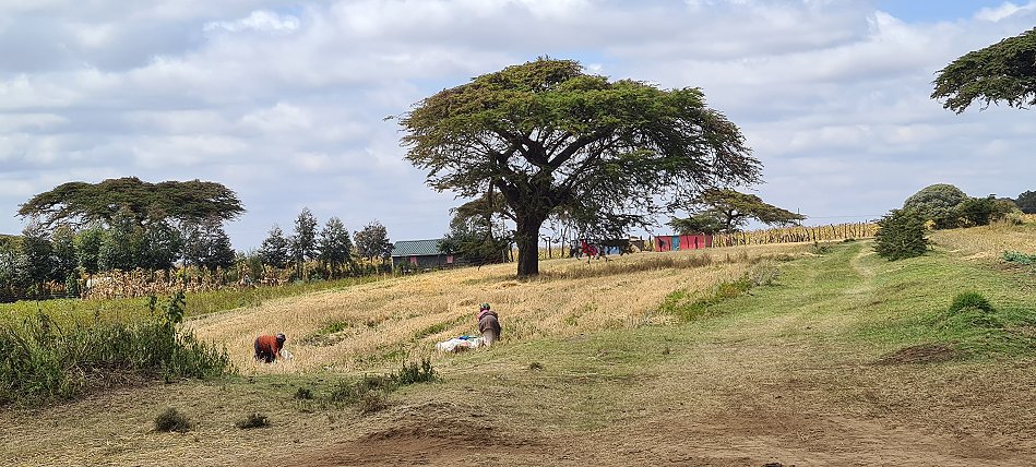 Rift Valley Kenia