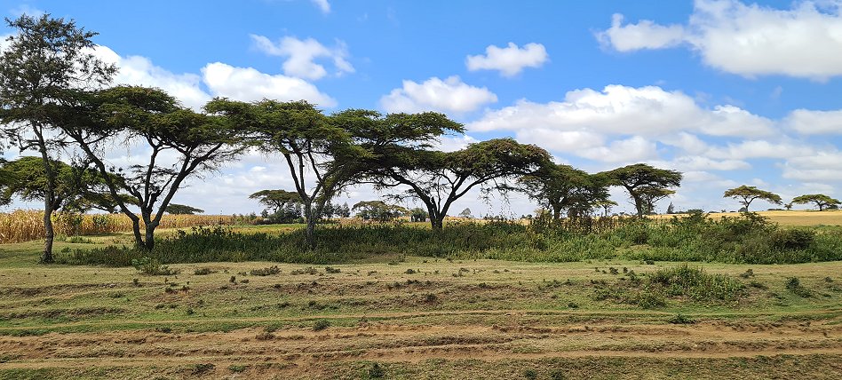 Rift Valley Kenia