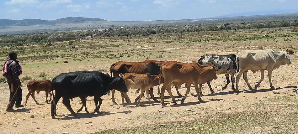 unterwegs in die Masai Mara