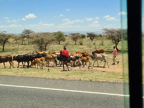 unterwegs in die Masai Mara