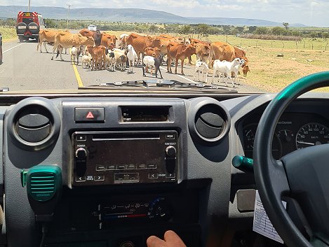 unterwegs in die Masai Mara