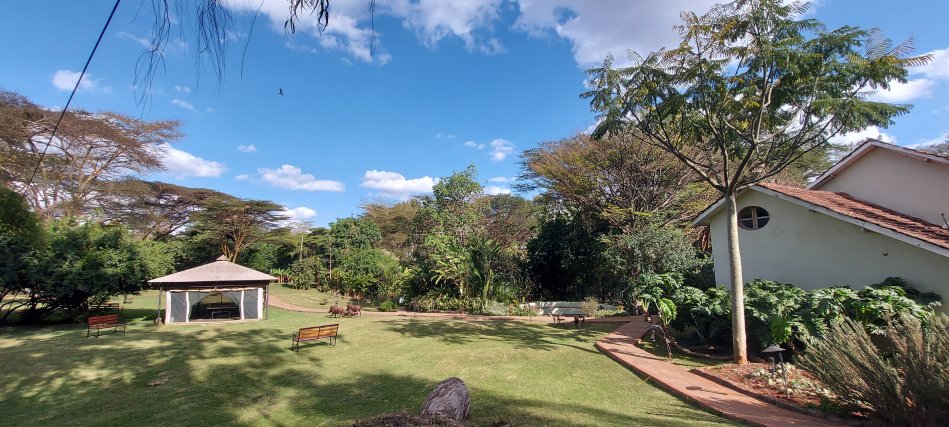 Wildebeest Eco Camp, Nairobi