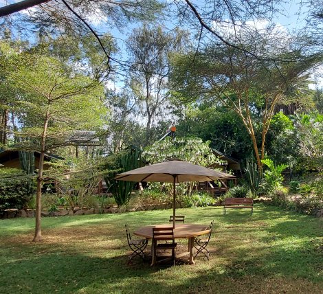 Wildebeest Eco Camp, Nairobi