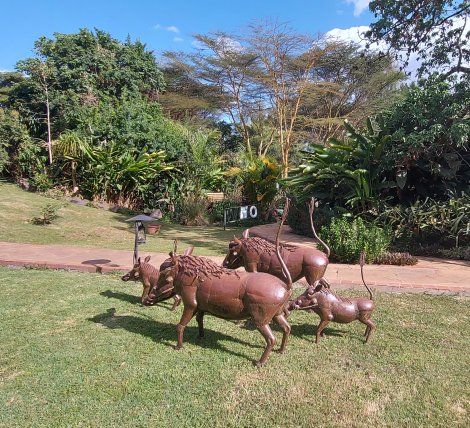 Wildebeest Eco Camp, Nairobi