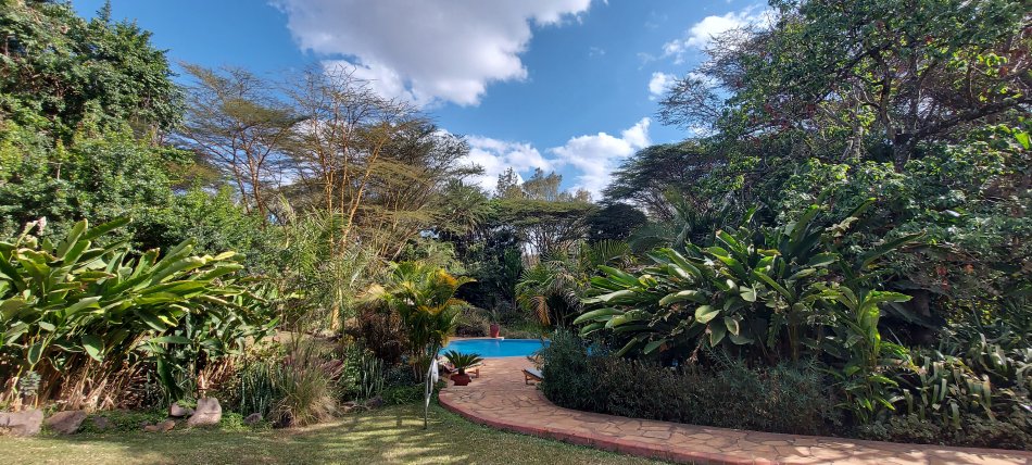 Wildebeest Eco Camp, Nairobi
