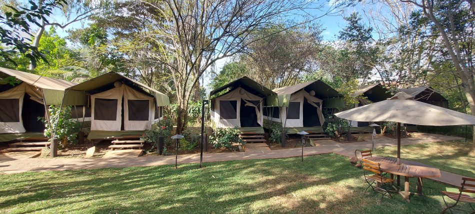 Wildebeest Eco Camp, Nairobi