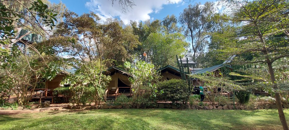 Wildebeest Eco Camp, Nairobi