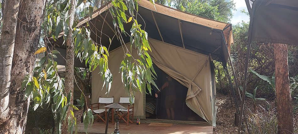 Wildebeest Eco Camp, Nairobi