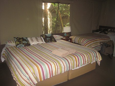 Wildebeest Eco Camp, Nairobi