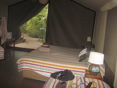 Wildebeest Eco Camp, Nairobi