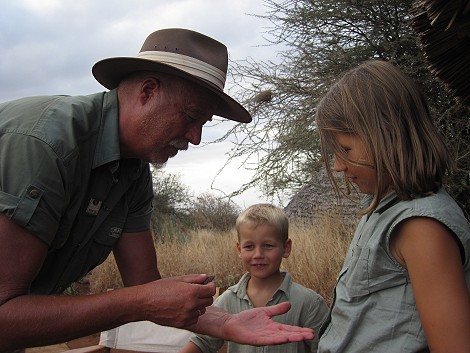 Hausgecko im Amboseli Bush Camp