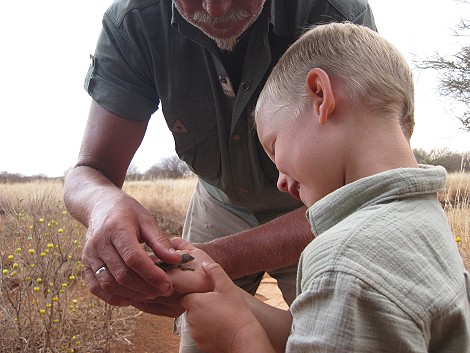 Hausgecko im Amboseli Bush Camp