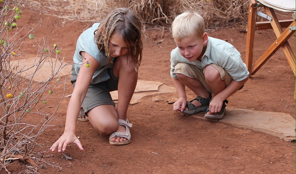 Hausgecko im Amboseli Bush Camp