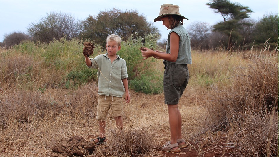 Amboseli Bush Camp - Self Catering Camp - Kimana, Amboseli