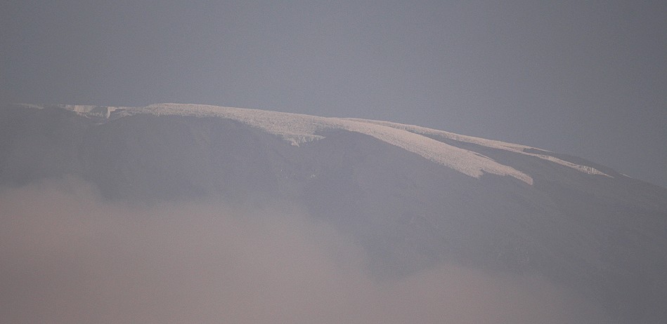 Kilimanjaro, Morgens vom Amboseli Bush Camp aus