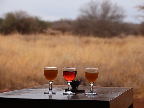 Morgens im Amboseli Bush Camp