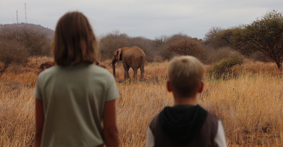 Elefanten am Amboseli Bush Camp