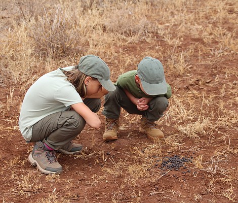 Spurenlesen am Rande des Amboseli National Parks