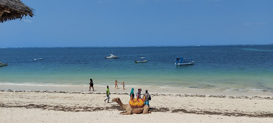 am Bamburi Beach