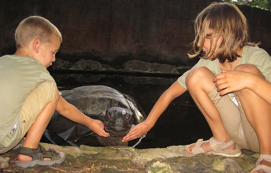 Malik und Soraya bei den Aldabra Riesenschildkröten im Boko Boko