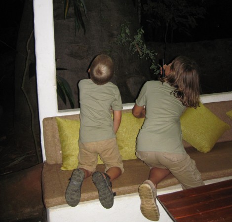Mit der Familie im Boko Boko Guesthouse