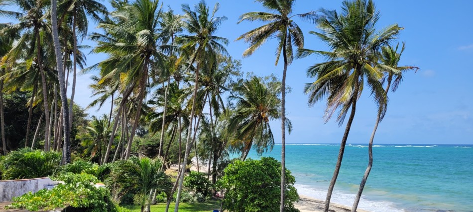 Bei Freunden am Jumba Beach / Wtwapa