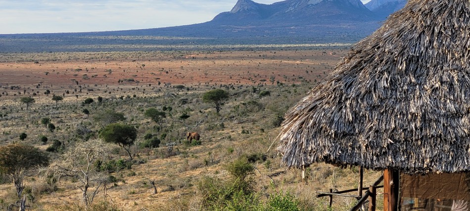 Leopards Lair Cottages - Lumo Conservancy - Tsavo