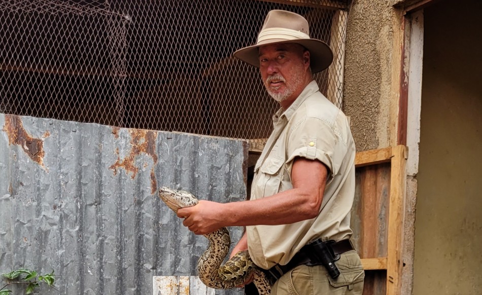 Jörg Reinecke mit African Rock Python (Python sebae)