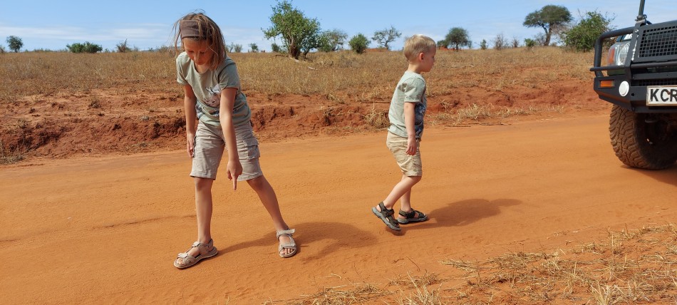 Kindersafari - Spurensuche im Sand der Pisten