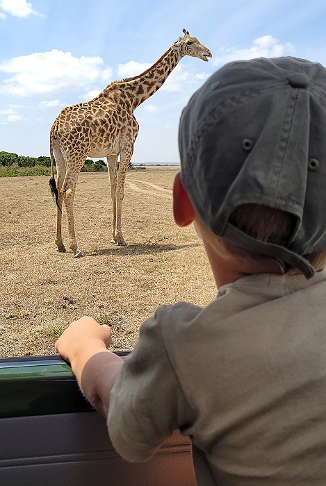 Malik und die Masai Giraffen