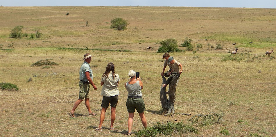 Austoben in der Masai Mara
