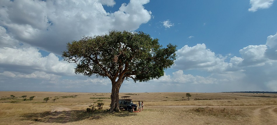 Bushbreakfast in der Wildnis der Masai Mara
