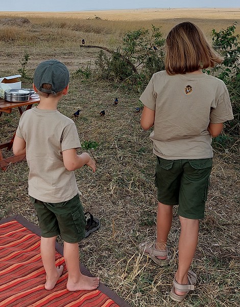 Bushbreakfast in der Wildnis der Masai Mara