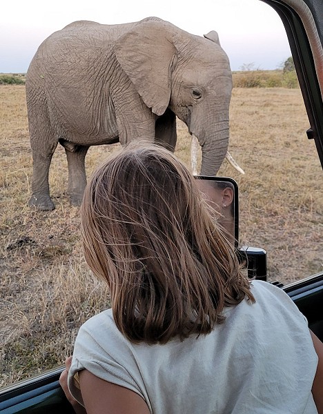 Masai Strauß, Masai Mara