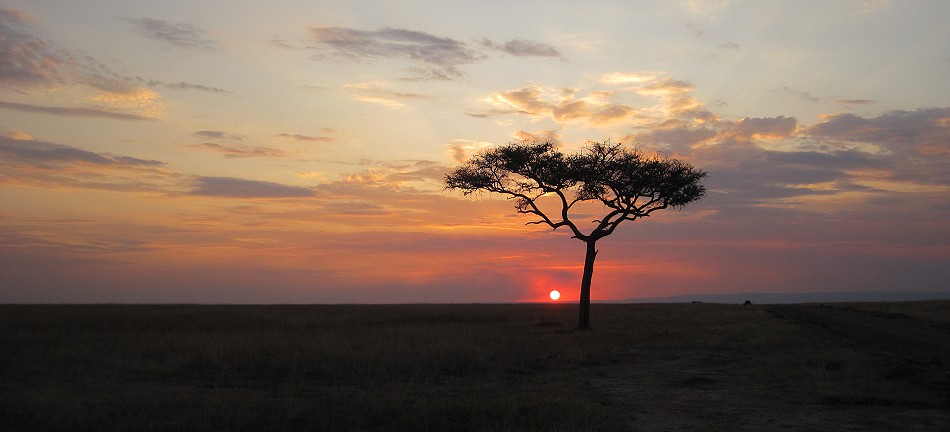Sonnenuntergang in der Masai Mara